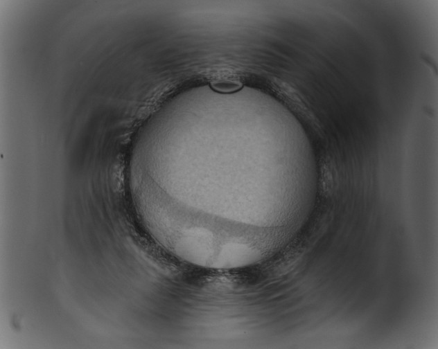 X0000101210259200807181425