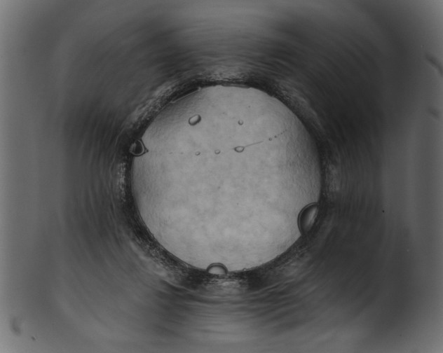 X0000101210260200807181425