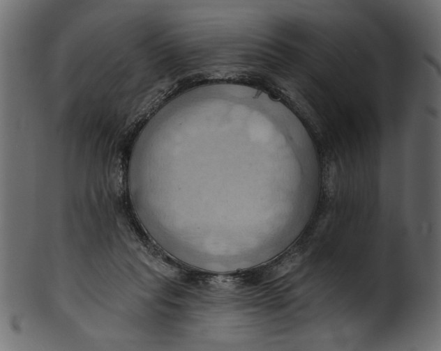 X0000101210261200807181425