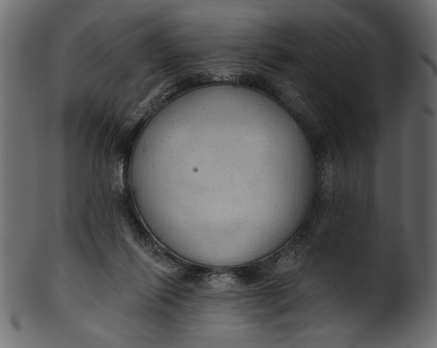 X0000101210262200807181425