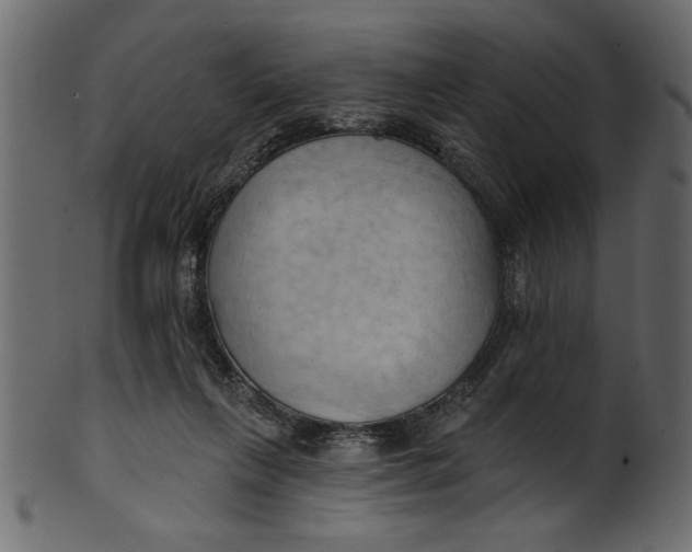 X0000101210263200807181425