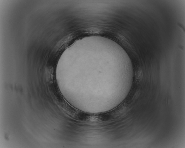 X0000101210264200807181425