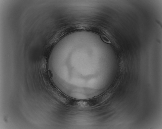 X0000101210265200807181425