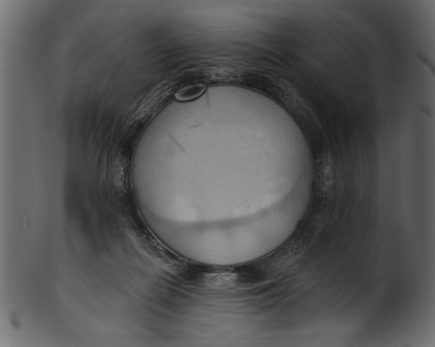 X0000101210266200807181425