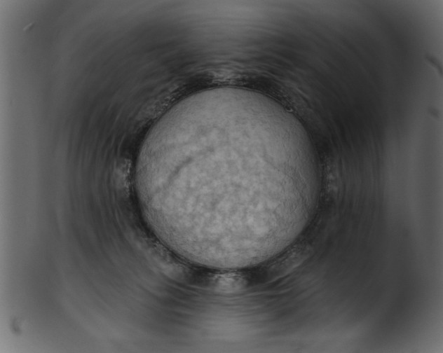 X0000101210275200807181425