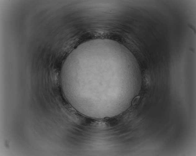 X0000101210276200807181425