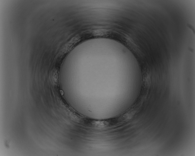 X0000101210277200807181425