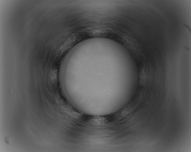 X0000101210278200807181425