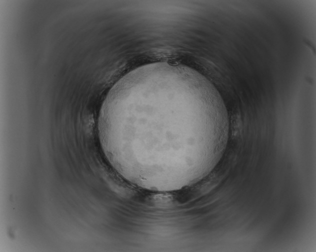 X0000101210279200807181425