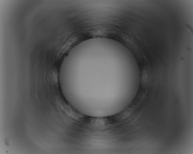 X0000101210282200807181425