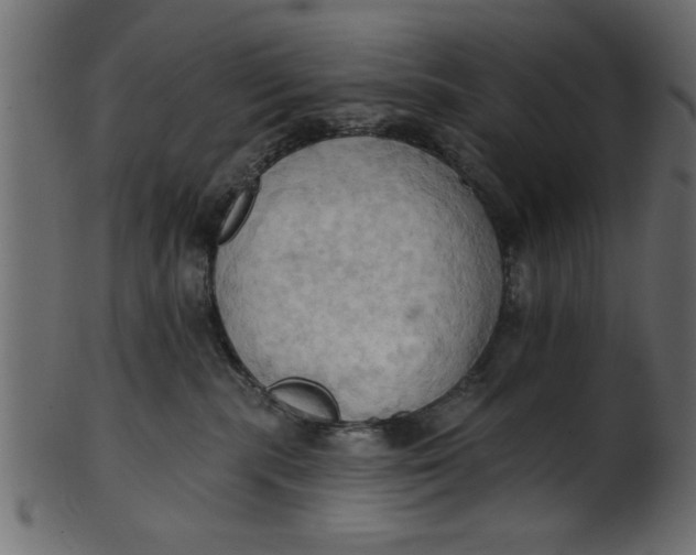 X0000101210283200807181425