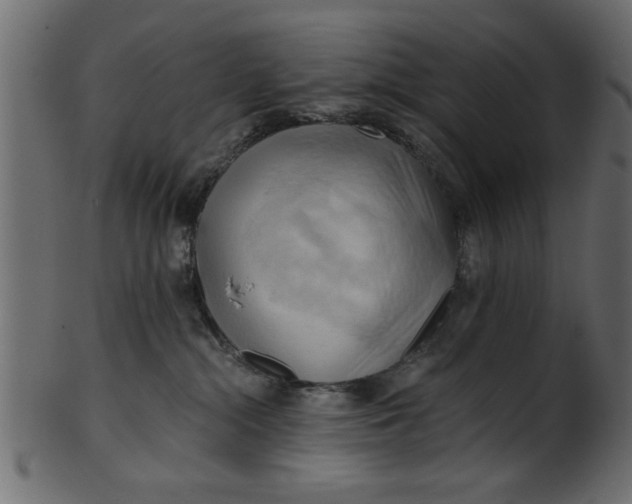 X0000101210284200807181425