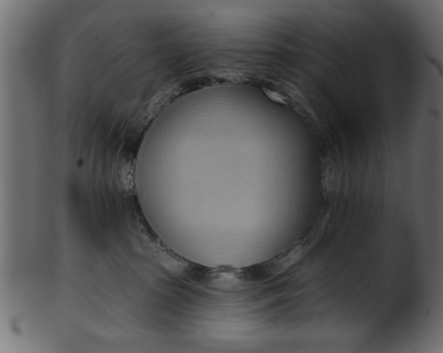 X0000101210285200807181425