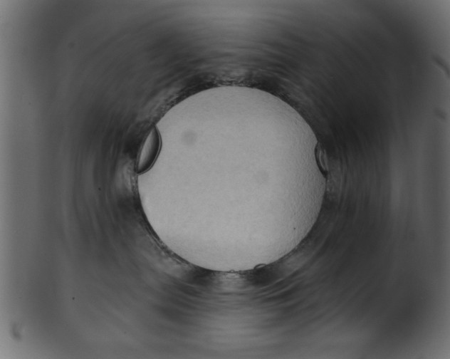 X0000101210287200807181425