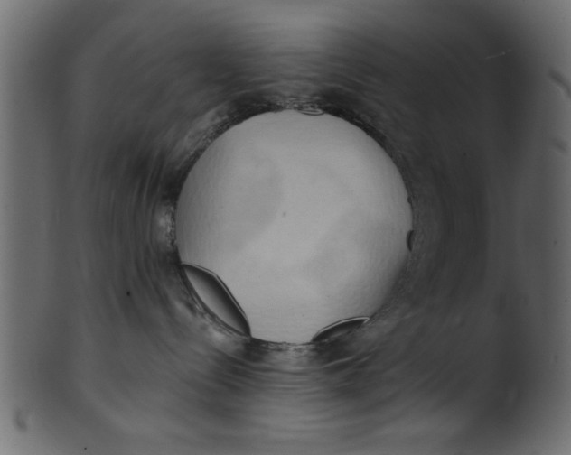 X0000101210288200807181425