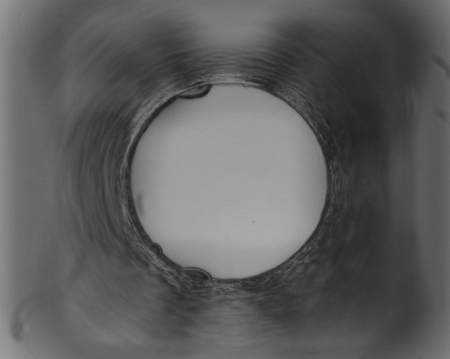 X0000101210289200807181424