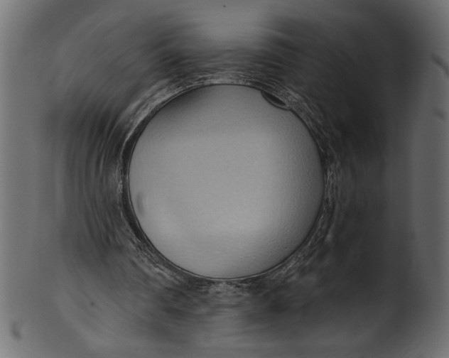 X0000101210290200807181424