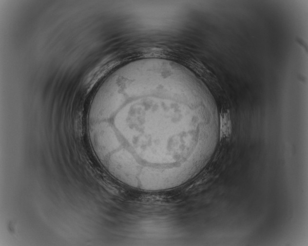 X0000101210291200807181424