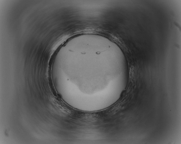 X0000101210292200807181424