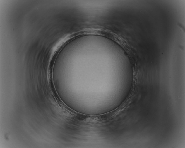 X0000101210294200807181424