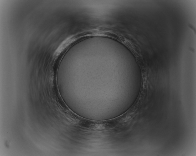 X0000101210295200807181424