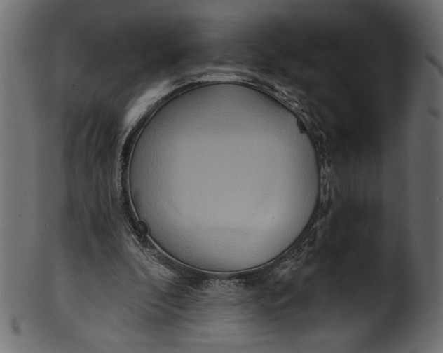 X0000101210296200807181424