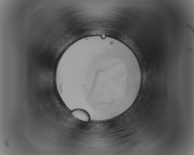 X0000101210297200807181424