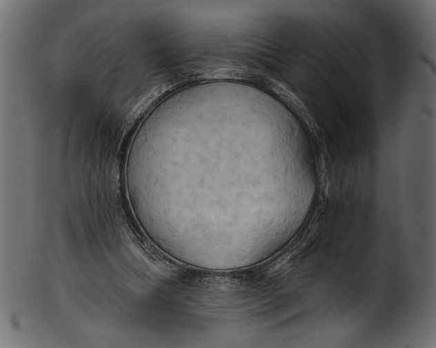 X0000101210298200807181424