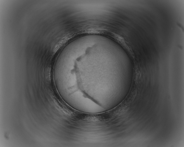 X0000101210299200807181424