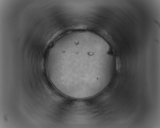 X0000101210300200807181424