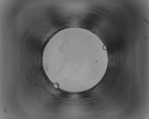 X0000101210301200807181424