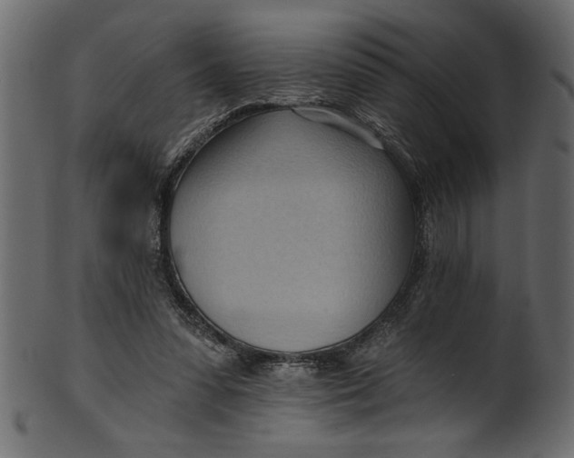 X0000101210303200807181424