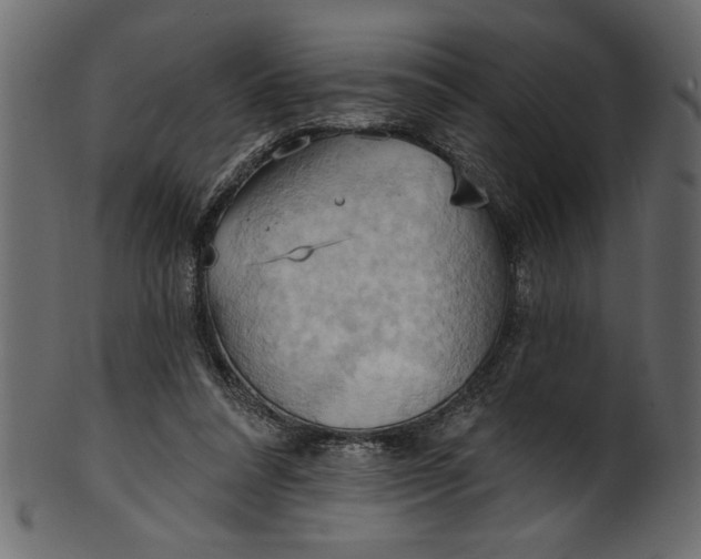 X0000101210304200807181424