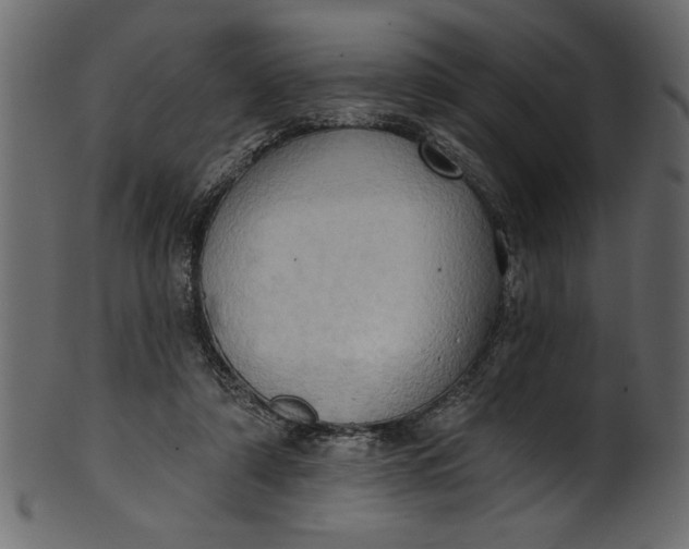 X0000101210306200807181424