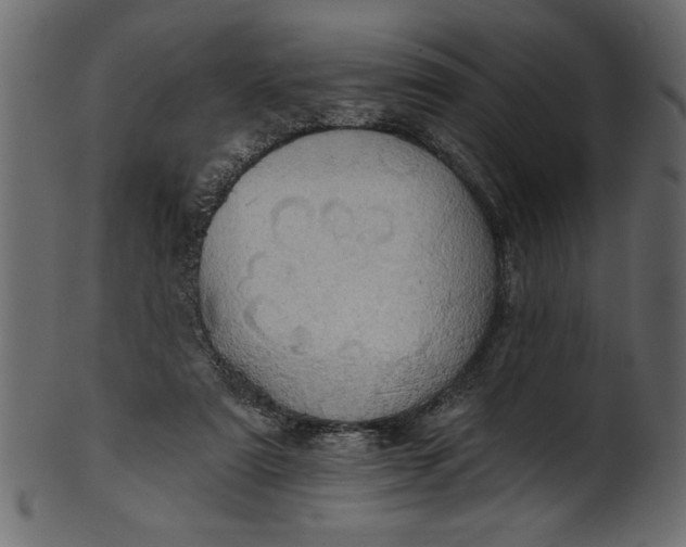 X0000101210307200807181424