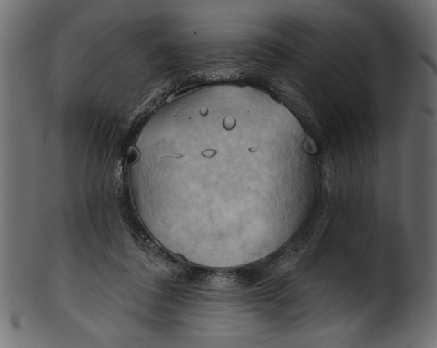 X0000101210308200807181424