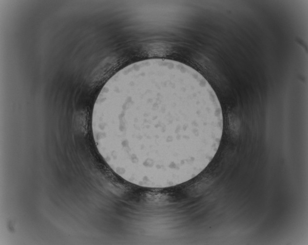 X0000101210311200807181424