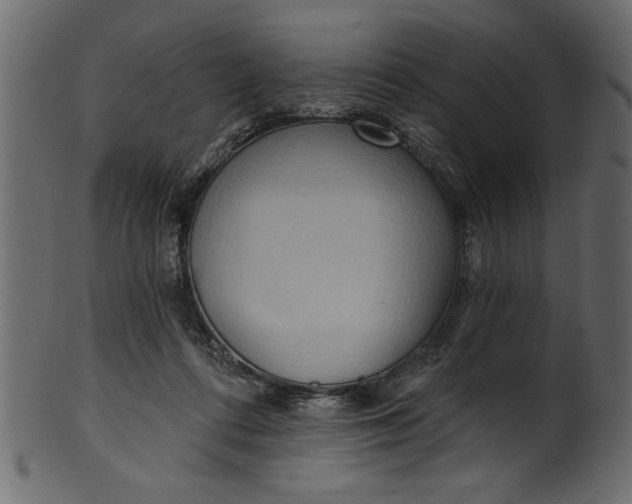 X0000101210312200807181424