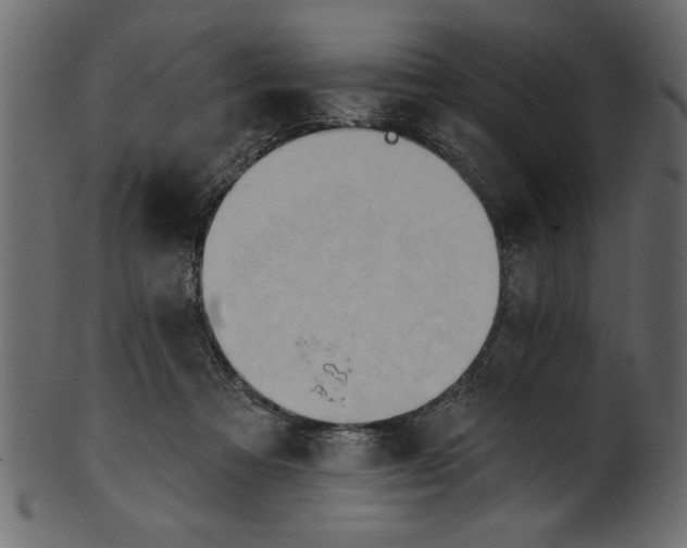 X0000101210313200807181424