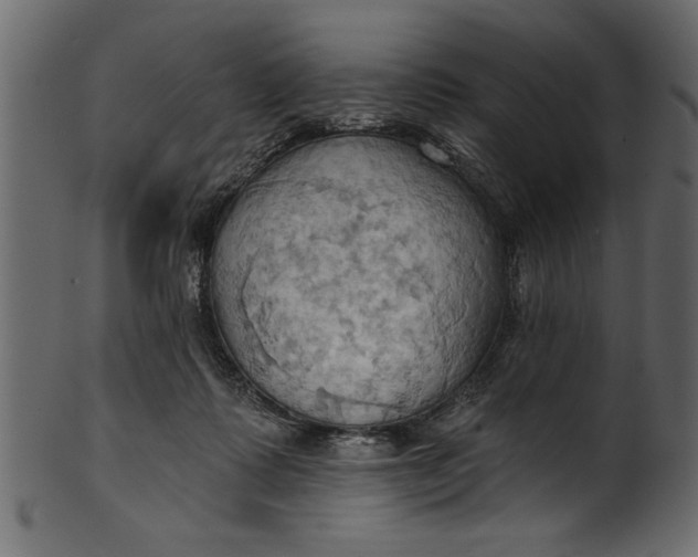 X0000101210315200807181424