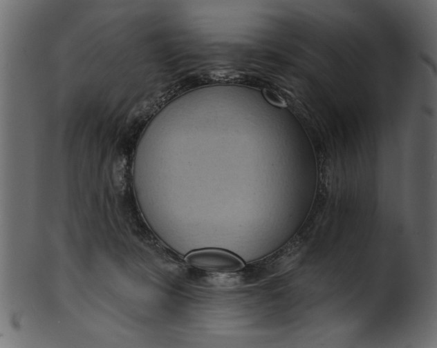 X0000101210319200807181424