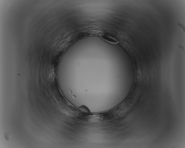 X0000101210320200807181424