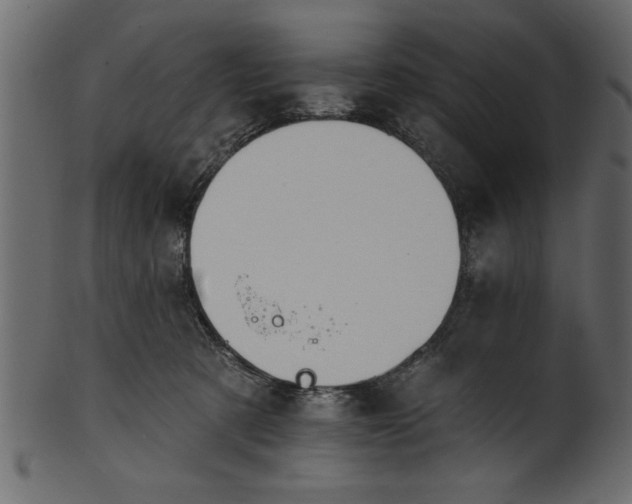 X0000101210321200807181424