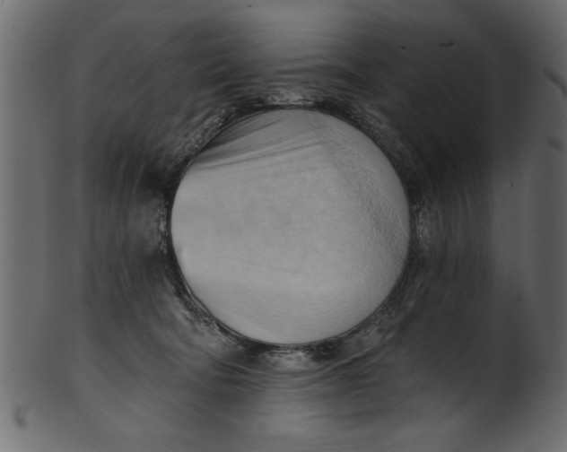 X0000101210322200807181424