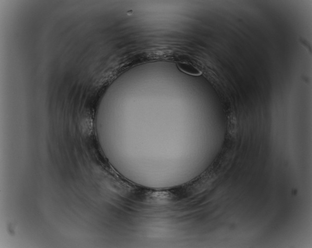 X0000101210324200807181424