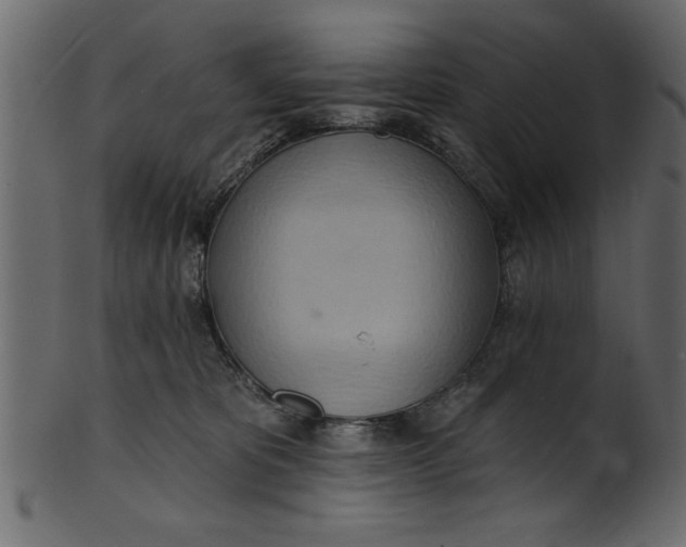 X0000101210325200807181424