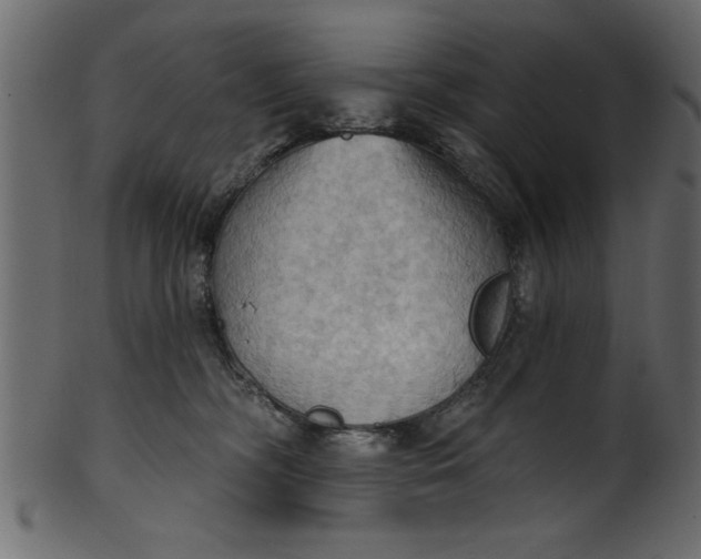 X0000101210326200807181424