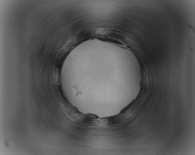 X0000101210328200807181424