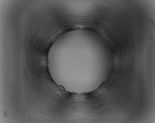 X0000101210331200807181424