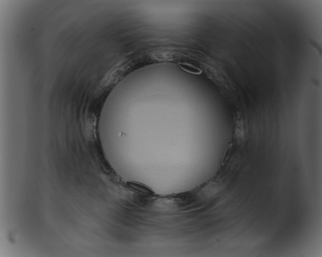 X0000101210332200807181424